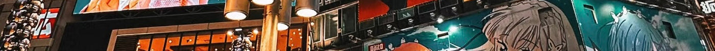 Japan’s Unique Anime and Game Vinyl Culture