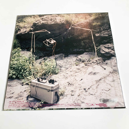 Fishmans Long Season Limited Vinyl Records LP - Picks Japan