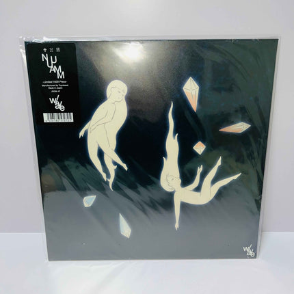 NUUAMM w/ave Ichiko Aoba Vinyl 2LP Record Limited edition 1500 copies - Picks Japan
