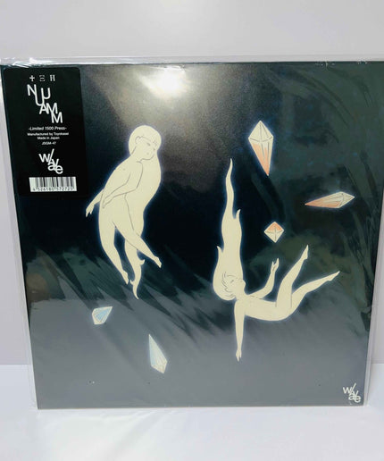 NUUAMM w/ave Ichiko Aoba Vinyl 2LP Record Limited edition 1500 copies - Picks Japan