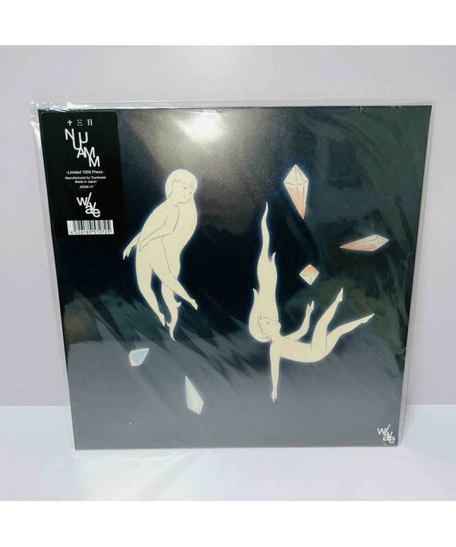 NUUAMM w/ave Ichiko Aoba Vinyl 2LP Record Limited edition 1500 copies - Picks Japan
