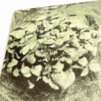 ICHIKO AOBA qp Vinyl LP Limited Edition Record - Picks Japan