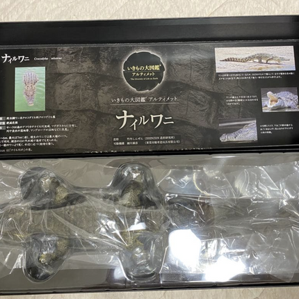 Bandai Nile Crocodile Figure Light Color The Diversity of Life Japan Limited