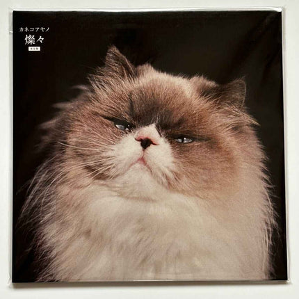 Kaneko Ayano SAN SAN Limited Vinyl Records LP - Picks Japan