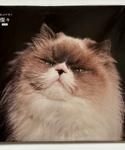 Kaneko Ayano SAN SAN Limited Vinyl Records LP - Picks Japan