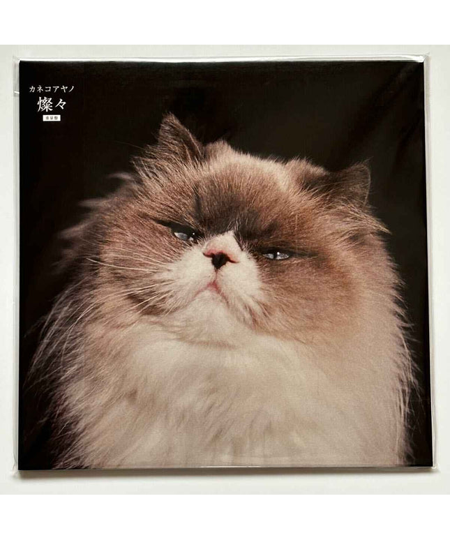 Kaneko Ayano SAN SAN Limited Vinyl Records LP - Picks Japan