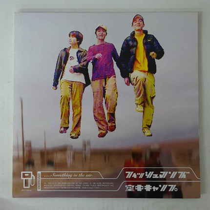 Fishmans Something in the Air Limited Vinyl Records 2LP - Picks Japan