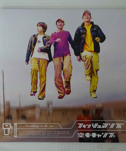 Fishmans Something in the Air Limited Vinyl Records 2LP - Picks Japan