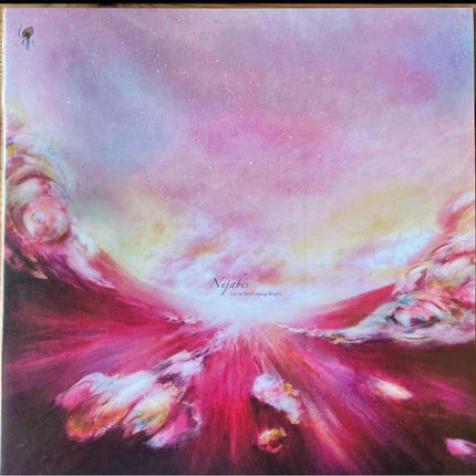 Nujabes Featuring Shing02 Luv(sic) Part.5 Vinyl EP Hyde Out Japan First Press - Picks Japan