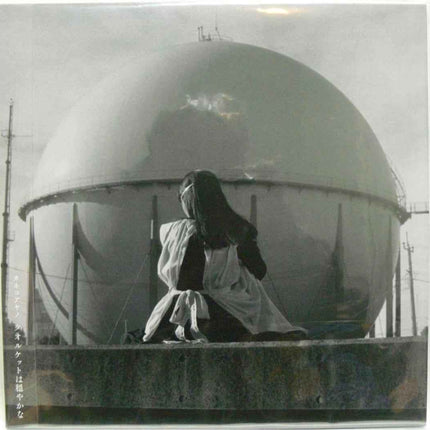 Kaneko Ayano Towelket wa odayakana Limited Vinyl Records LP - Picks Japan