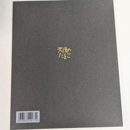 Angel’s Egg Official Theater Movie Pamphlet (2025) — 64-Page Full-Color Booklet featuring Mamoru Oshii & Yoshitaka Amano Interviews