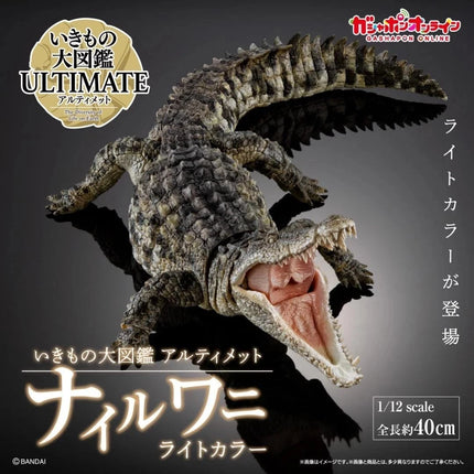 Bandai Nile Crocodile Figure Light Color The Diversity of Life Japan Limited