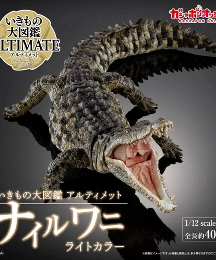 Bandai Nile Crocodile Figure Light Color The Diversity of Life Japan Limited