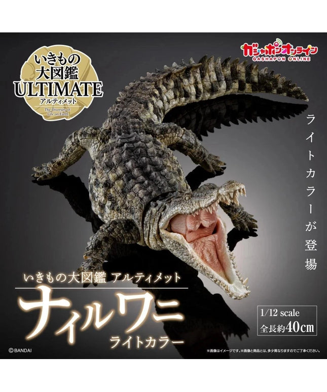 Bandai Nile Crocodile Figure Light Color The Diversity of Life Japan Limited