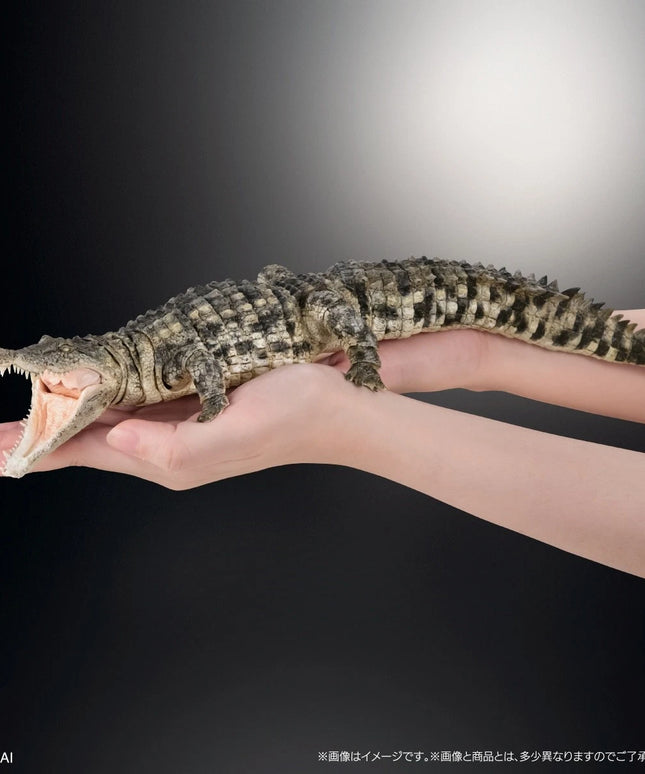 Bandai Nile Crocodile Figure Light Color The Diversity of Life Japan Limited